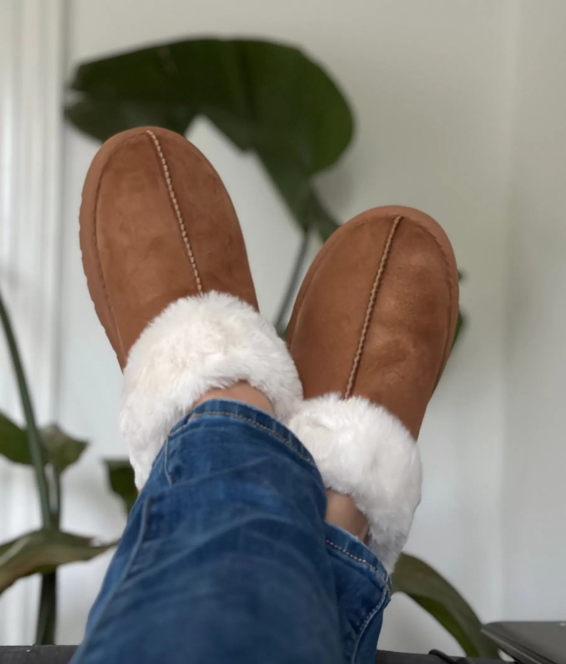 Slippers< Tessie Sutsko 6436 Camel